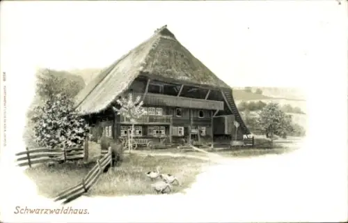 Ak Schwarzwaldhaus, Gänse