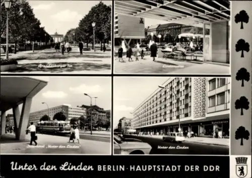 Ak Berlin Mitte, Unter den Linden, Interhotel, Brandenburger Tor