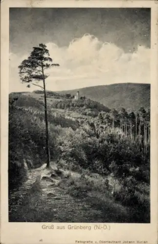 Ak Grünberg Ottendorf Okrilla Sachsen, Landschaft mit Baum, Hügeln, Kirche, Fotografie von Johann