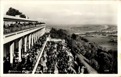 Ak Wien 19. Döbling, Kahlenberg, Restaurant, Terrasse, Aussicht