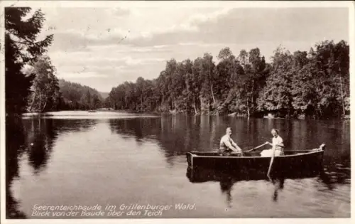 Ak Grillenburg Tharandt, Seerenteichbaude, Blick von der Baude über den Teich