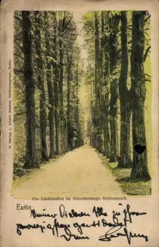 Ak Eutin in Ostholstein, Lindenallee, Schlosspark,  Bäume, Weg