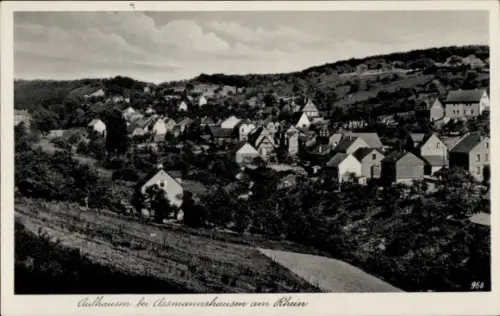 Ak Aulhausen Rüdesheim am Rhein, Aulhausen, Assmannshausen, Rhein, Häuser, Landschaft