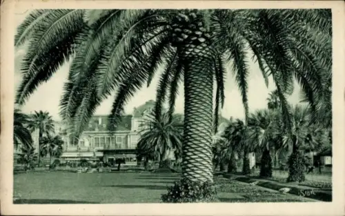 Ak Nice Nizza Alpes Maritimes, Palmen, Casino Municipal, Schwarz-Weiß-Foto