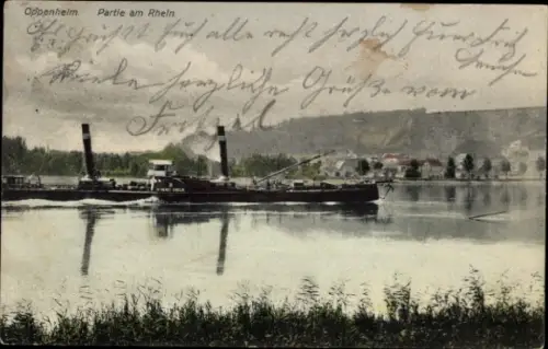 Ak Oppenheim am Oberrhein, Rheinpartie, Schiff Koeln