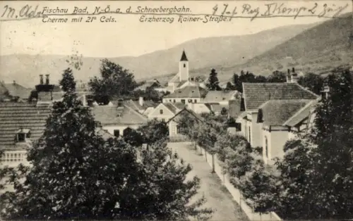 Ak Brunn an der Schneebergbahn Bad Fischau Niederösterreich, Erzherzog Rainer Straße