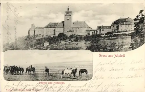 Ak Allstedt in Sachsen Anhalt, Schloss und Hofgestüt