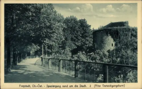 Ak Freystadt in der Oberpfalz Bayern,  Spaziergang, Alter Verteidigungsturm, Bäume, Weg