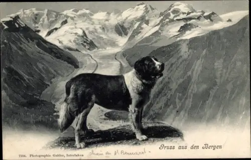 Ak Bernhardiner, Gebirge, Berglandschaft