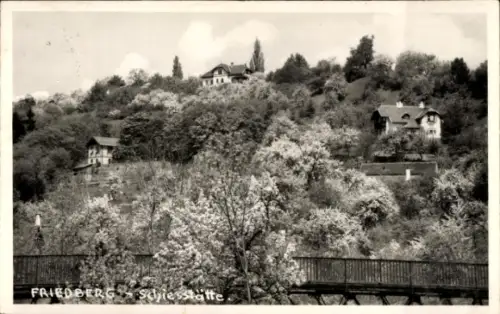 Ak Friedberg in Hessen,  Häuser auf einem Hügel, blühende Bäume, Brücke