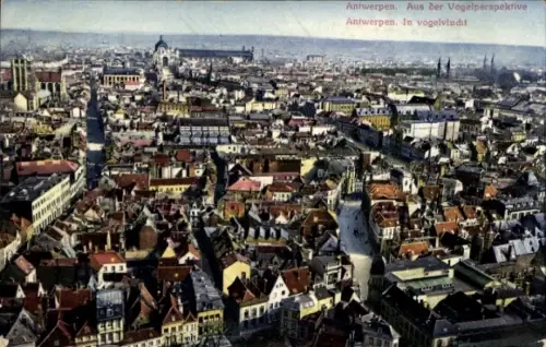 Ak Antwerpen Flandern, Vogelperspektive von  Stadtansicht, Dächer, Straßen