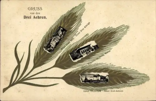 Passepartout Ak Trois Épis Drei Ähren Elsass Haut Rhin, Hotel Drei Könige, Hotel Drei Ähren