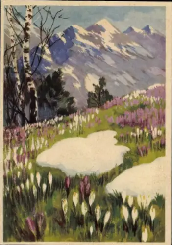 Künstler Ak Reklame, Eduscho Kaffee Bremen, Krokusse, Gebirge