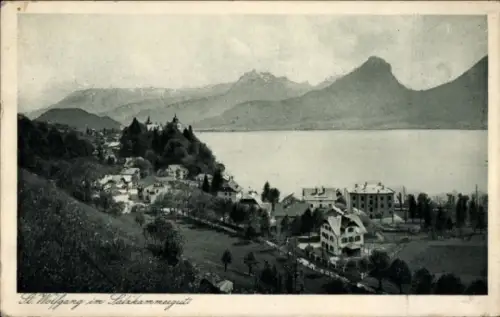 Ak St. Wolfgang im Salzkammergut Oberösterreich, Panorama