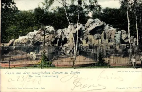 Ak Berlin Tiergarten, neuer Gemsenberg im Zoo