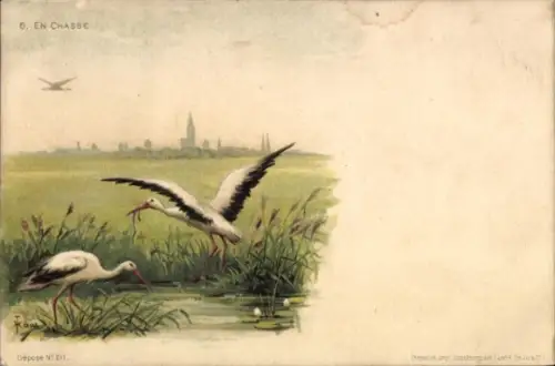 Künstler Litho Haas, I., Strasbourg Straßburg Elsass Bas Rhin, Störche im Flussbett