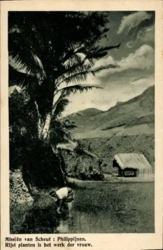 Ak Philipponen, Mission van Scheut, Frau beim pflanzen