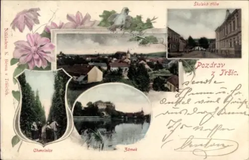 Ak Tršice Trschitz Tirschitz Tirsice Reg. Olmütz, Totale, Schloss, Hopfenfelder, Skolska trida