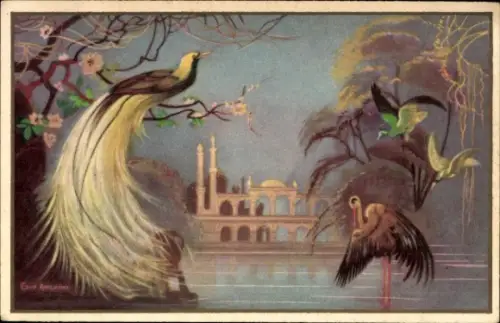 Künstler Ak Anichini, Ezio, Vögel, Paradiesvogel