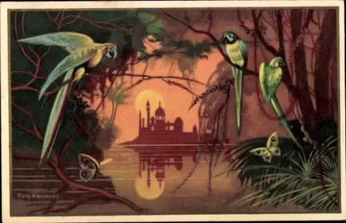 Künstler Ak Anichini, Ezio, Landschaft mit Papageien und Schmetterlingen