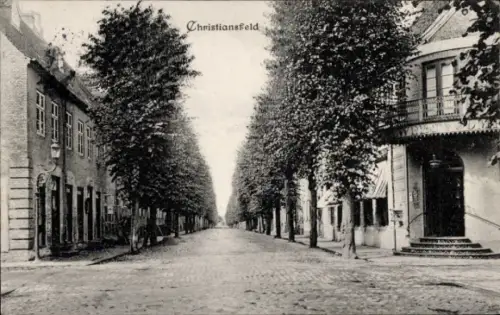 Ak Christiansfeld Kolding Dänemark,  Baumallee, Straßenansicht,  