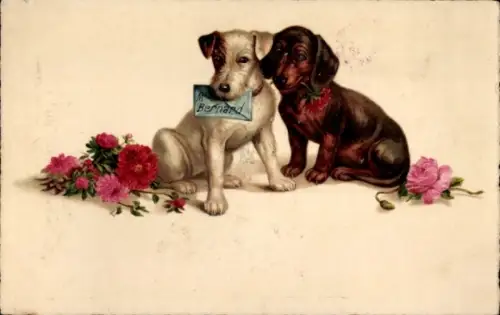 Künstler Ak Zwei Hunde, Tierportrait