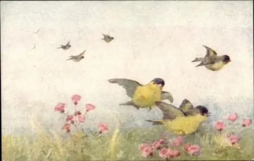 Künstler Ak Vögel, Blühende Disteln
