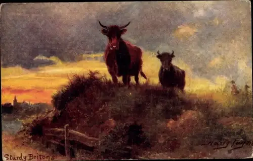 Künstler Ak Payne, Harry, Kühe