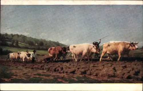 Künstler Ak Bonheur, Rosa, Ochsenpflug