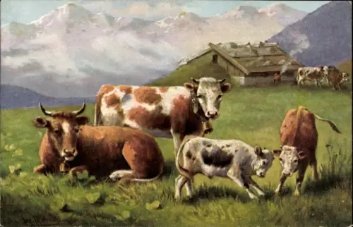 Ak Kühe auf einer Weide