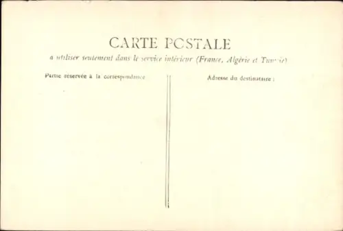 Ak Fasane, Tierportrait