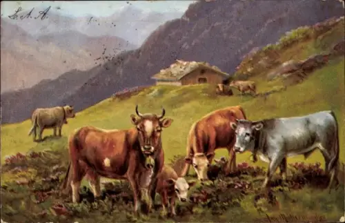 Künstler Ak Berglandschaft, Kühe