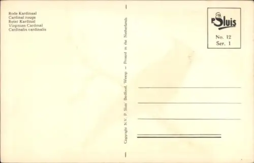 Ak Vogel, Roter Kardinal