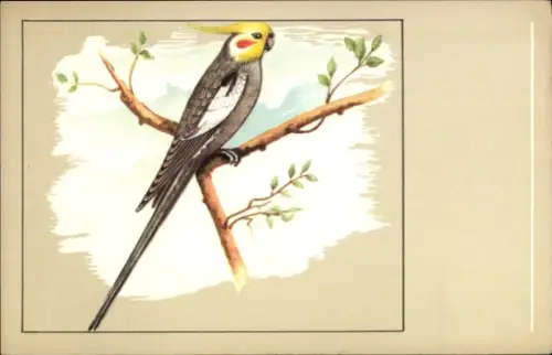 Künstler Ak Blick auf einen Nymphensittich, Perruche calopsitte