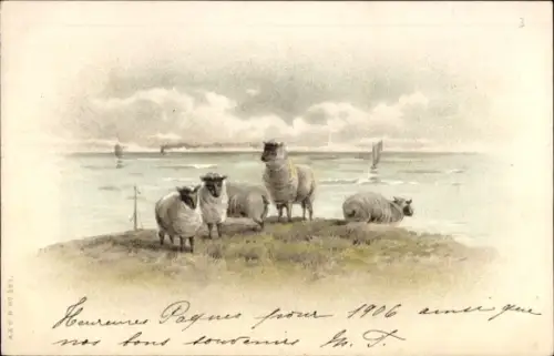 Künstler Ak Seepanorama, Schafe