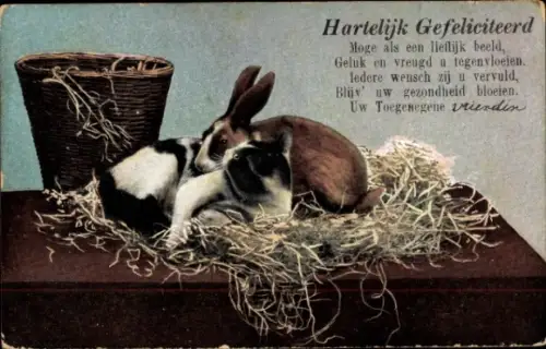 Ak Glückwunsch, Hase und Katze