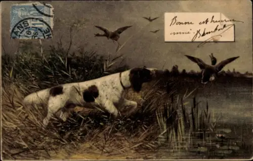 Künstler Ak Müller, August, Jagdhund scheucht Stockenten auf