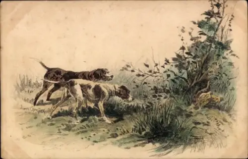 Ak Jagdhunde erspähen Rebhühner