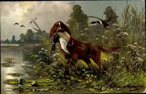 Künstler Ak Müller, M., Jagdhund mit erlegter Wildgans