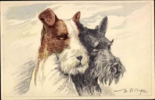 Künstler Ak Hundeportrait, zwei Terrier, Hundeköpfe