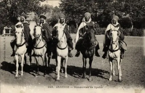 Ak Algerien, Manoeuvres de Spahis, Einheimische Reiter, Soldaten, Kavallerie