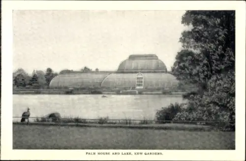 Ak Kew London Borough of Richmond upon Thames, Palmenhaus und See