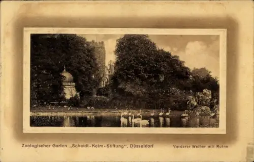 Passepartout Ak Düsseldorf am Rhein, Zoologischer Garten Scheidt-Keim-Stiftung, Weiher, Ruine