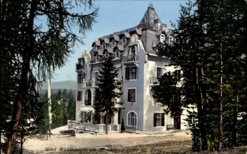 Ak Passo della Mendola Mendel Mendelpass Südtirol, Hotel Waldkönigin,  Bäume, 