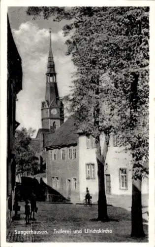 Ak Sangerhausen am Südharz,  Trillerei, Ulrichskirche