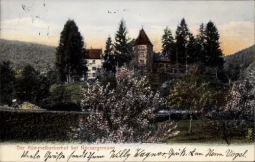 Ak Neckargemünd am Neckar, Kümmelbacherhof,  Bäume, Blumen,  von Willy Wagner