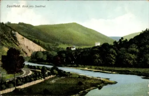 Ak Saalfeld an der Saale Thüringen,  Blick ins Saalthal, Fluss, Hügel, Bäume