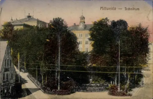 Ak Mittweida in Sachsen,  Technikum, Bäume, Gebäude, Straßenansicht
