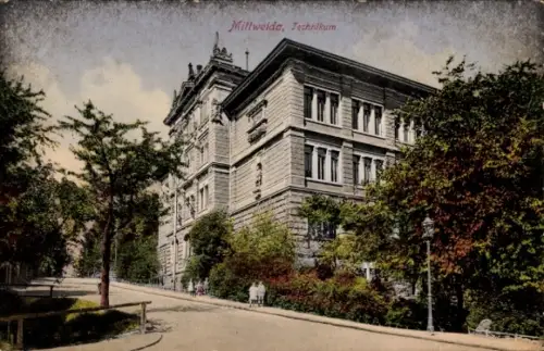 Ak Mittweida in Sachsen, Technikum in  Gebäude, Bäume, Straße
