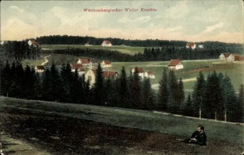 Ak Kniebis Freudenstadt im Schwarzwald, Landschaft mit Weiler  Bäume, Wiesen, Häuser